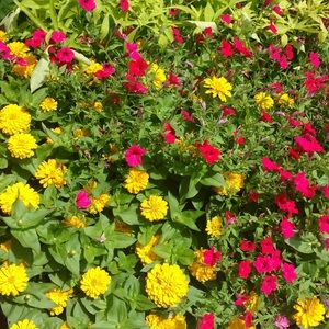 Meet your Posher, Brooklyn